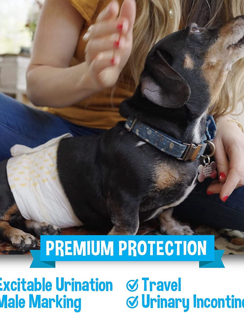 Load image into Gallery viewer, Disposable Male Dog Diapers | Super Absorbent Leak-Proof Fit | Premium Adjustable Male Dog Pee Wraps with Moisture Control &amp; Wetness Indicator | 20 Count Small Size

