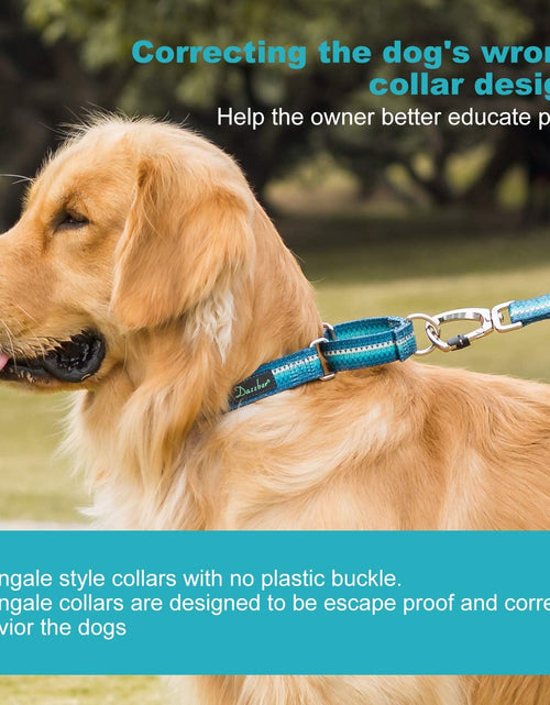 Load image into Gallery viewer, Martingale Dog Collar No Pull Pet Collar Heavy Duty Dog Martingale Collars Silky with Unique Geometric Pattern for Medium and Large Dogs (Large, Turquoise)
