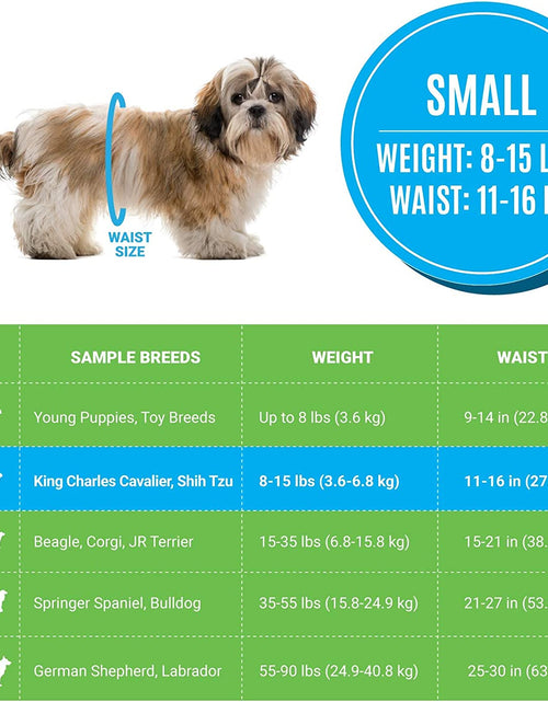 Load image into Gallery viewer, Disposable Male Dog Diapers | Super Absorbent Leak-Proof Fit | Premium Adjustable Male Dog Pee Wraps with Moisture Control &amp; Wetness Indicator | 20 Count Small Size
