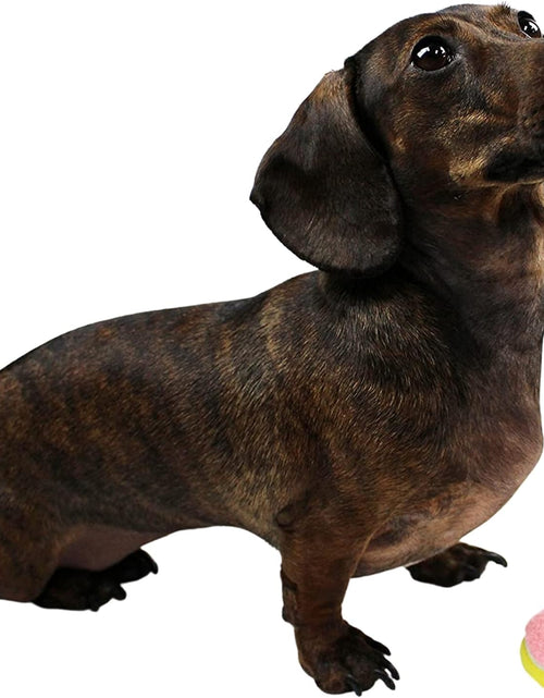 Load image into Gallery viewer, X-Small Dog Tennis Balls 1.5" Pack of 12- Puppy Mini Fetch Pet Little Tennis Balls -Yellow/Pink
