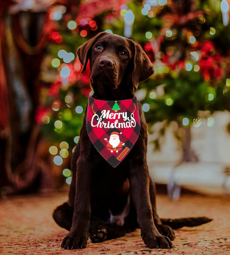 2 Pack Dog Bandana Christmas Classic Plaid Pet Scarf Triangle Bibs Kerchief Merry Christmas Santa Snowman Print Pet Bandana for Medium Large Dogs Pets (Large, Red&Green)
