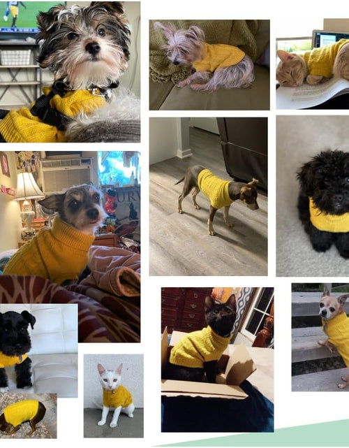Load image into Gallery viewer, Small Dog Sweaters Knitted Pet Cat Sweater Warm Dog Sweatshirt Dog Winter Clothes Kitten Puppy Sweater
