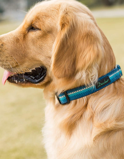 Load image into Gallery viewer, Martingale Dog Collar No Pull Pet Collar Heavy Duty Dog Martingale Collars Silky with Unique Geometric Pattern for Medium and Large Dogs (Large, Turquoise)
