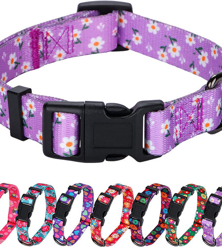 Girl Dog Collars Spring Cute Daisy Flower Pattern Lovely Print and American Flag Print Dog Collar