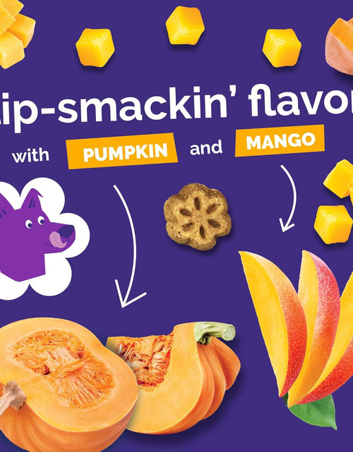 Load image into Gallery viewer, Skinny Mini Dog Treats | Healthy Treats for Dogs | Low Calorie Training Treats | Free of Wheat, Corn and Soy
