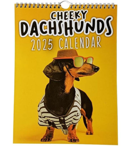 2025 New Calendar, Schedule Planning, Halloween Gift, Christmas Gift, New Year Gift