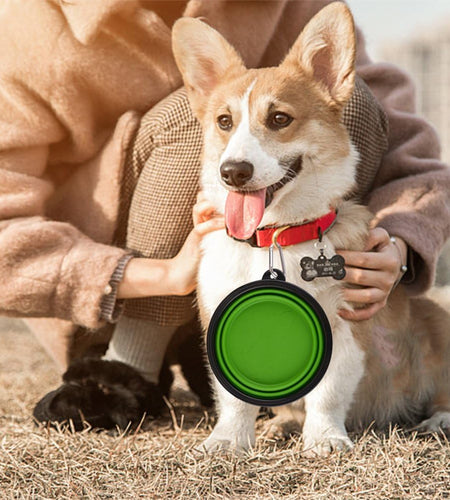 Large Collapsible Dog Bowls, 34Oz Travel Water Food Bowls Portable Foldable Collapse Dishes with Carabiner Clip, 2 Pack (Green+Blue)