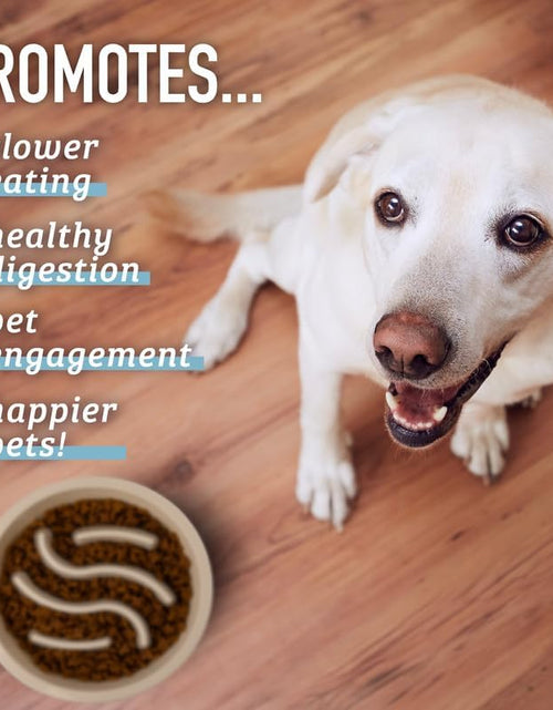 Load image into Gallery viewer, Slow Feeder Dog Bowls - Cup Maze Puzzle Food Bowl with Feeder Holes, Fits into Elevated Pet Feeders - Slow Eating for Large, Medium &amp; Small Sized Breeds (2 Cup - 7.5-8 Inch Feeder Holes)
