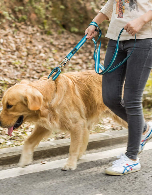 Load image into Gallery viewer, Martingale Dog Collar No Pull Pet Collar Heavy Duty Dog Martingale Collars Silky with Unique Geometric Pattern for Medium and Large Dogs (Large, Turquoise)
