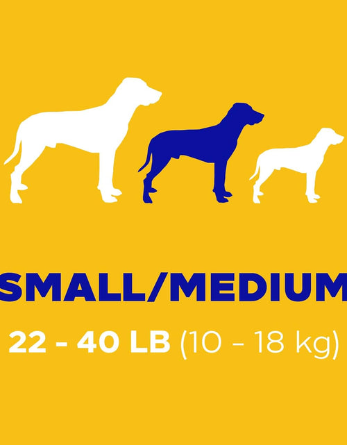 Load image into Gallery viewer, DENTASTIX Small/Medium Dog Dental Treats Original Flavor Dental Bones, 5.57 Oz - 10 Count (Pack of 7)
