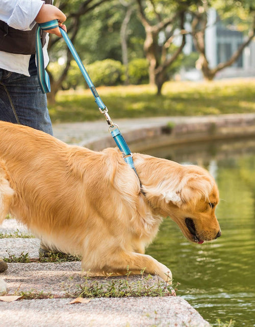 Load image into Gallery viewer, Martingale Dog Collar No Pull Pet Collar Heavy Duty Dog Martingale Collars Silky with Unique Geometric Pattern for Medium and Large Dogs (Large, Turquoise)
