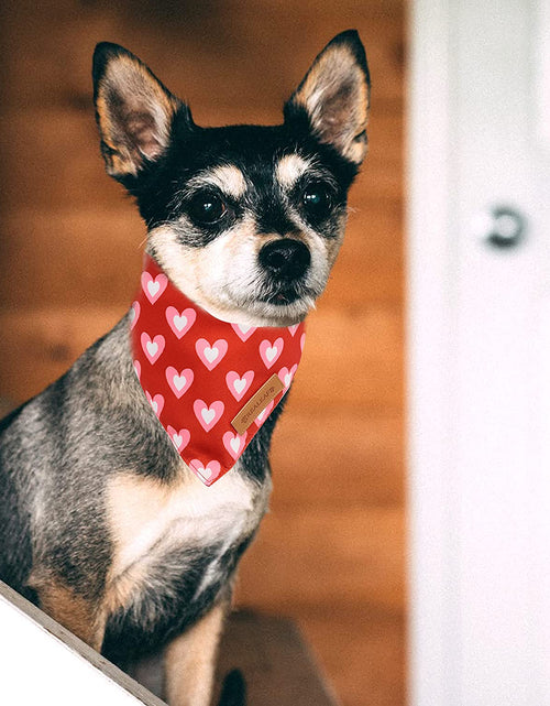 Load image into Gallery viewer, Holiday Dog Bandanas 2 Pack, Triangle Reversible Valentine'S Day Pet Scarf for Boy and Girl, Premium Durable Fabric, Bandana for Medium and Large Dogs (Large)
