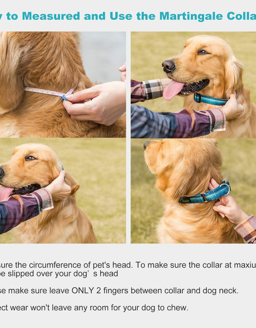 Load image into Gallery viewer, Martingale Dog Collar No Pull Pet Collar Heavy Duty Dog Martingale Collars Silky with Unique Geometric Pattern for Medium and Large Dogs (Large, Turquoise)
